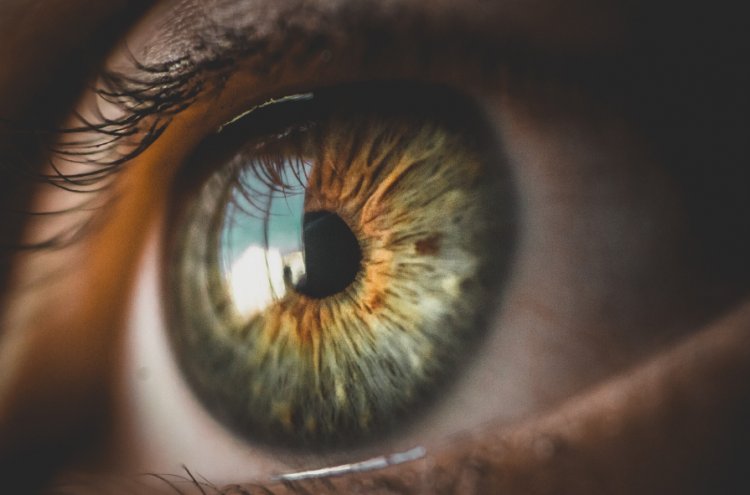 Navigating Ophthalmology: Understanding Eye Health and Care