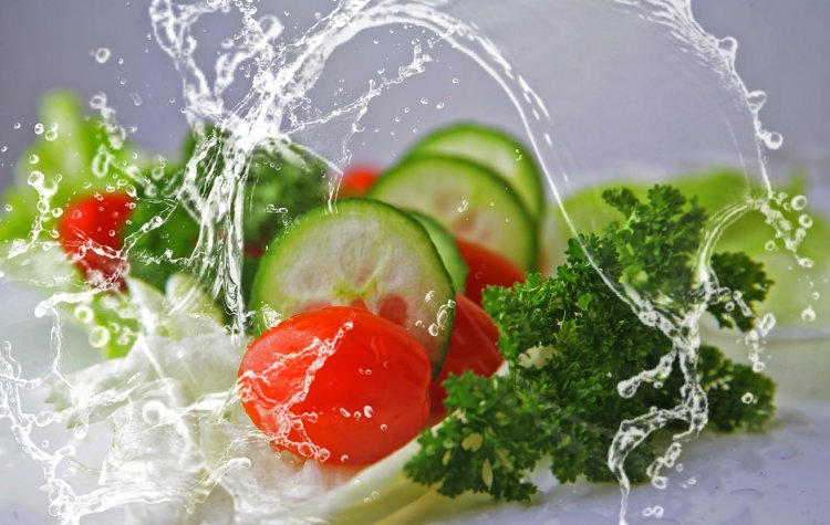 Vegetarian Diet: Advantages, Disadvantages, and Tips for Aspiring Vegetarians