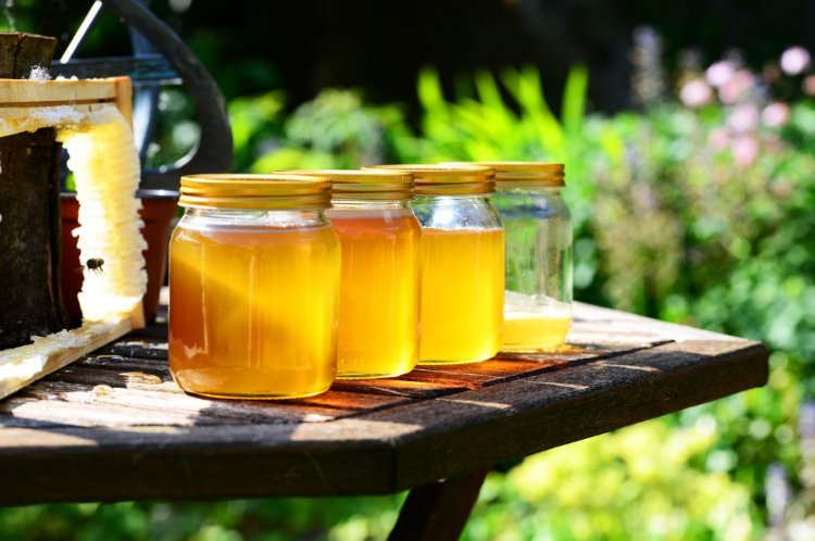 Buzzing Adventures: Explore UK Farms for Organic Honey and Family Fun
