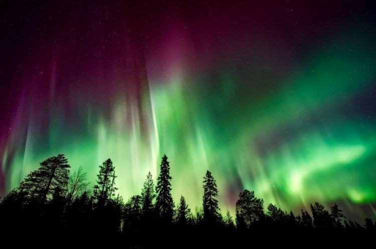 Chasing Aurora: Your Guide to Witnessing the Northern Lights Phenomenon