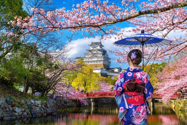 Discover Kyoto's Enchanting Geisha District: A Holiday Guide