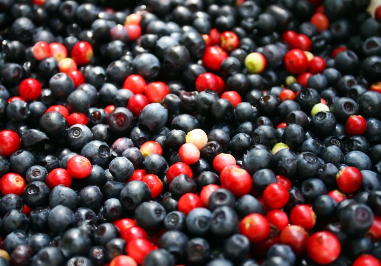 Exploring the Comprehensive Health Benefits of Cranberries