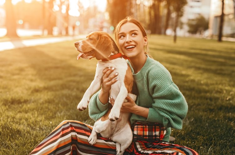 The Health Benefits of Spending Quality Time with Dogs