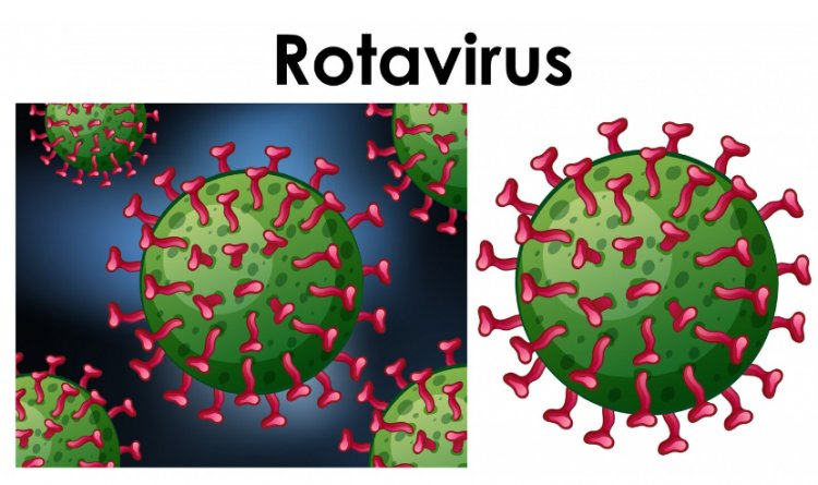 Rota Virus: What is it, How it Spreads, Symptoms, Treatment