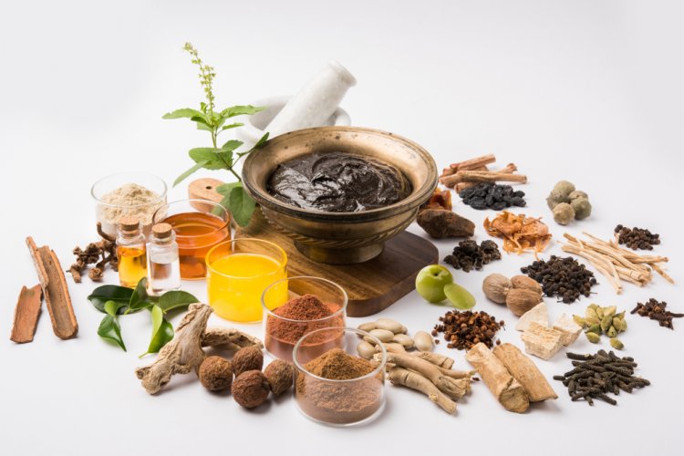 A Comprehensive Guide to Herbal Remedies: Choosing and Using Safely