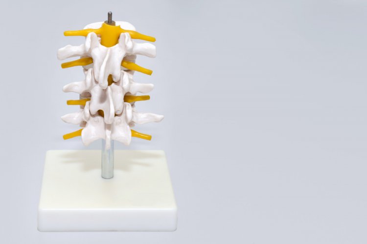Unraveling the Mystery of Spinal Muscular Atrophy: Causes, Symptoms, and Treatments