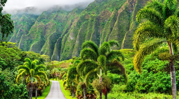 Embark on a Hawaiian Adventure: Must-See Attractions Across the Islands
