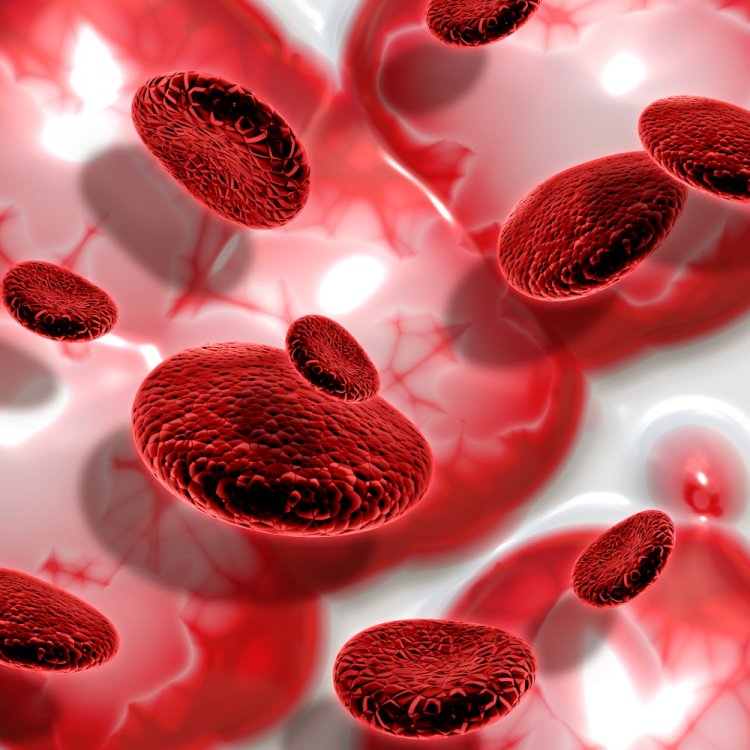Thalassemia: Understanding the Blood Disorder