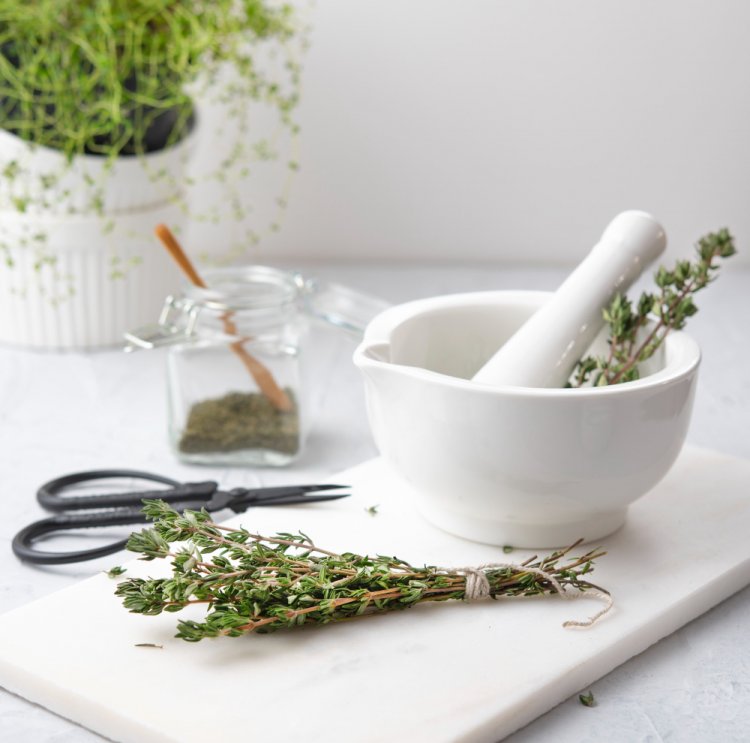 Thyme: Unveiling the Richness of Nature's Herb