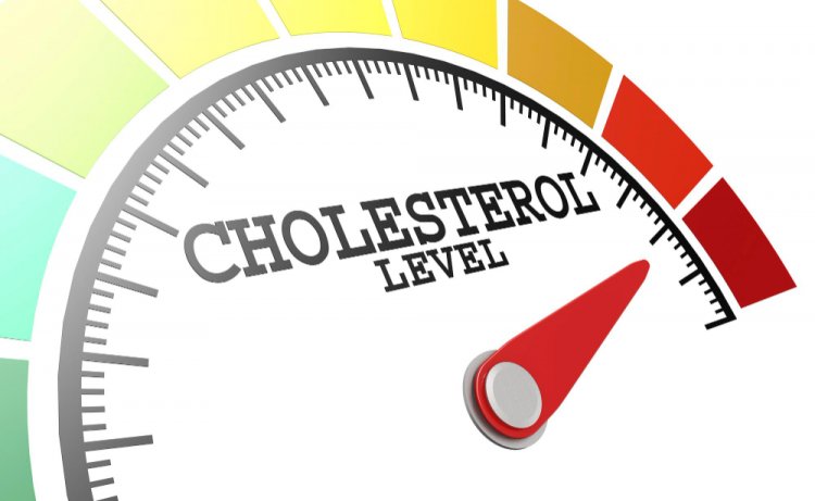 Cholesterol Emboli: Understanding the Mechanisms, Diagnosis, and Treatment