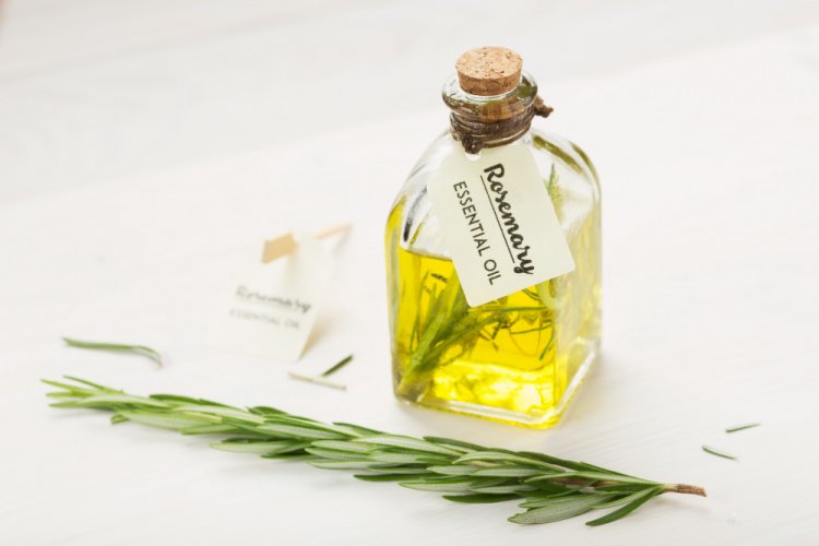 Unveiling the Wonders of Diluted Rosemary Oil