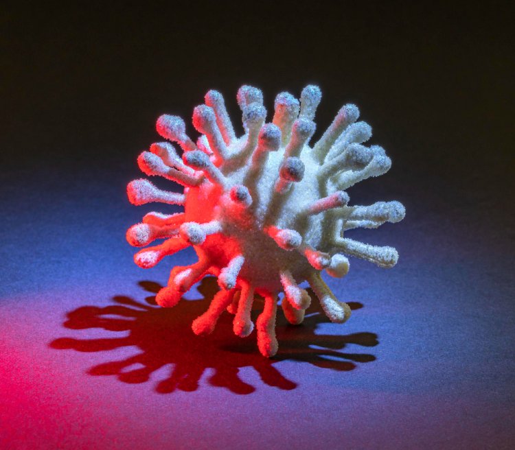 Epstein-Barr Virus (EBV): A Comprehensive Examination of the Ubiquitous Pathogen