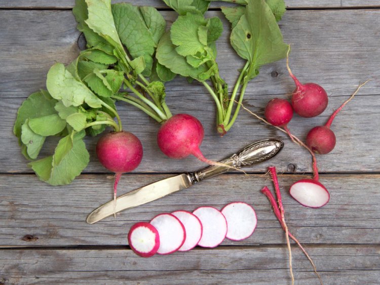 The Radish: A Versatile and Nutrient-Rich Root Vegetable