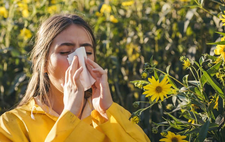 Allergic to Spring? Navigating the World of Pollen Allergies