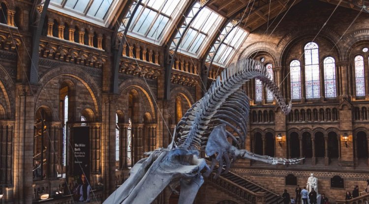  Exploring London's Rich Museum Scene