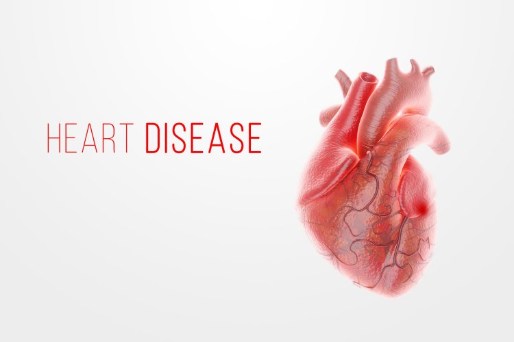 Protecting Your Heart: Strategies to Combat Coronary Heart Disease