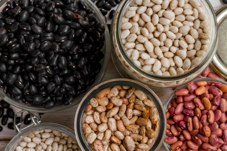 The Versatile World of Beans: A Comprehensive Guide