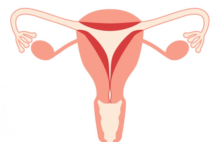 From Pain to Power: Transformative Insights into Hysterectomy