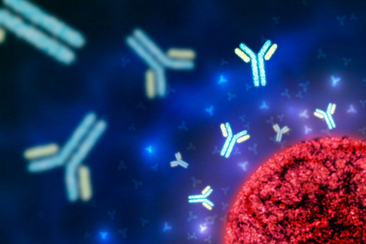 Immune Thrombocytopenia (ITP): Insights into a Complex Blood Disorder