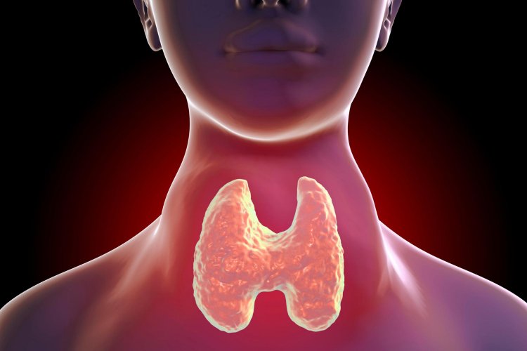 Comprehensive Guide to Thyroid Surgery