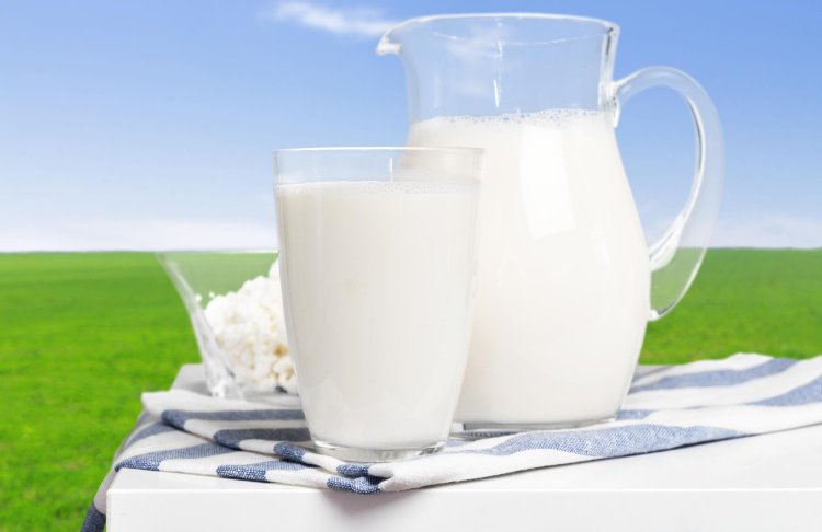 Milk: Nature's Complete Beverage for Health and Wellness