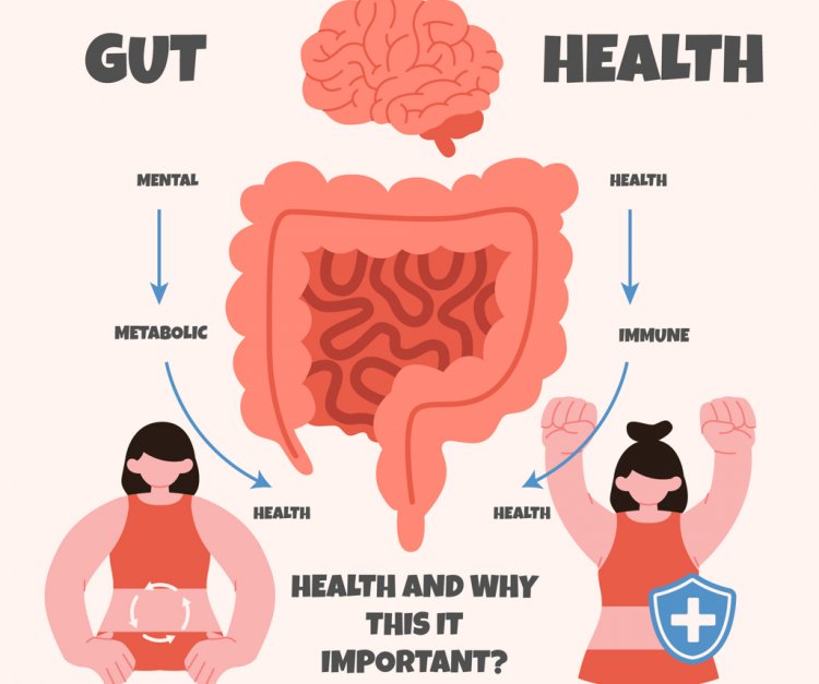 The Gut Barrier Breakdown: Unveiling the Science Behind Leaky Gut" What is Leaky Gut Syndrome