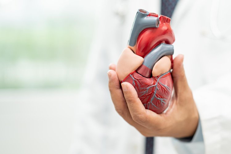 Stay Heart-Healthy: Proven Practices to Protect Your Heart