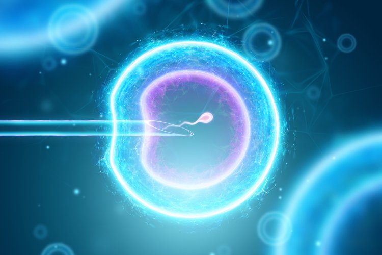 Modern Miracles: The Science and Success of IVF