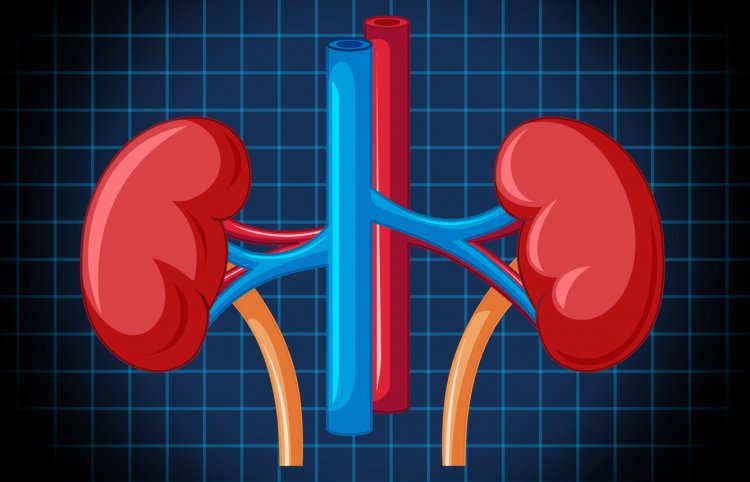 Unveiling Dialysis: Types, Benefits, and How It Works