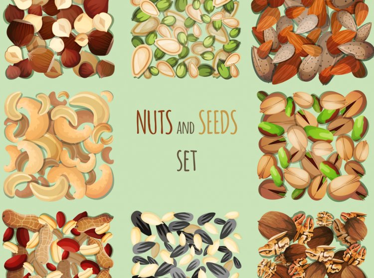 Nuts & Seeds: Nature's Tiny Powerhouses