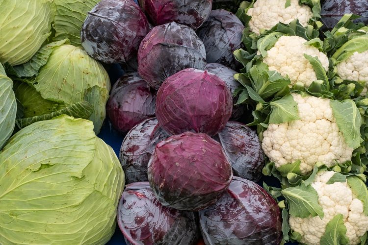 Health on Your Plate: Harnessing the Power of Cruciferous Vegetables