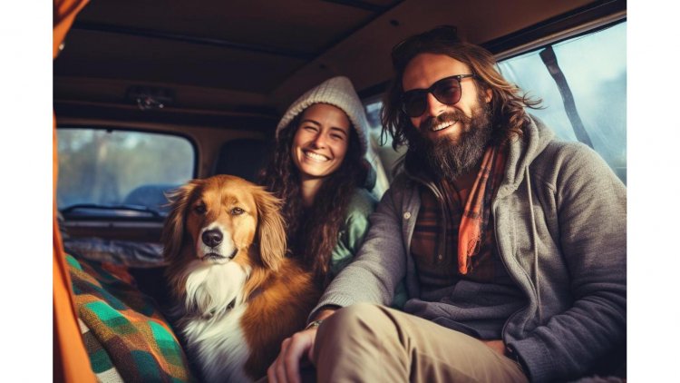 Paws & Pitches: Mastering the Art of Traveling with Your Furry Friends