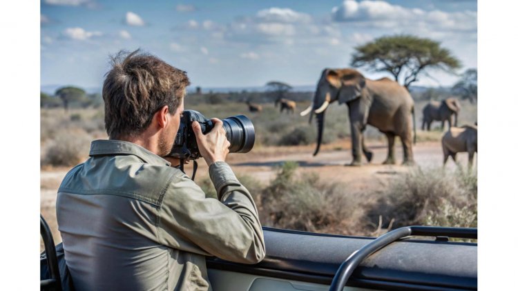 Capturing the Untamed: 7 Essential Travel Tips for Stunning Safari Wildlife Photography