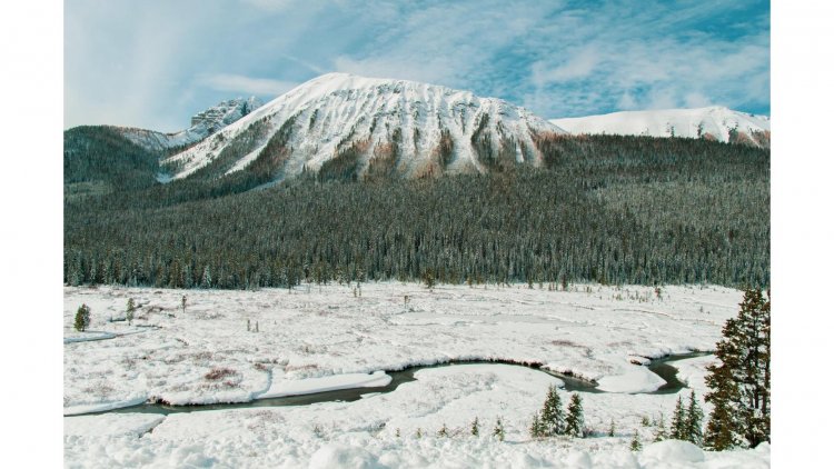 Embracing the Serenity: 8 Essential Travel Tips for Visiting National Parks in the Off-Season