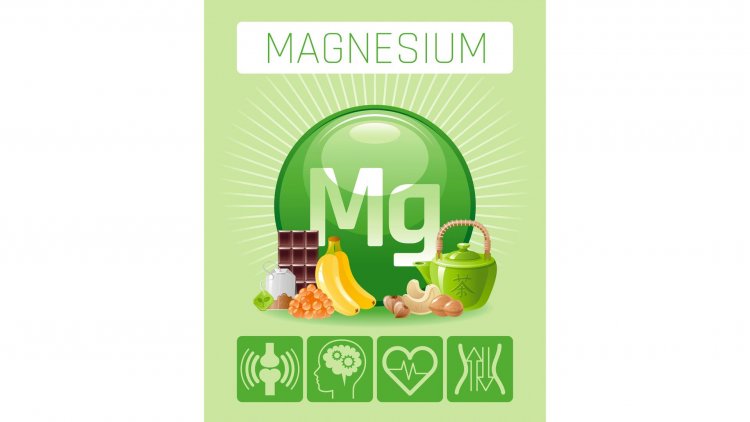 The Hidden Power of Magnesium: Mastering Muscle and Nerve Function