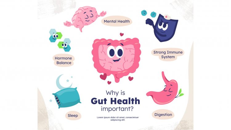 The Microbial Mirage: Unveiling the Hidden Connection Between Gut Health and Autoimmune Diseases