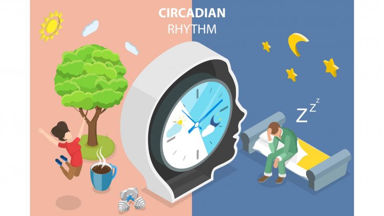 The Hidden Enemy: How Disrupting Your Internal Clock Can Fuel Chronic Illnesses