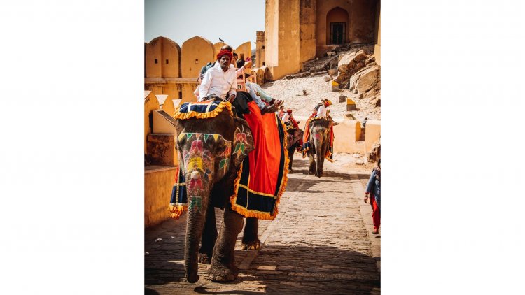 A Tapestry of Celebrations: Discover Jaipur's Most Vibrant Festivals