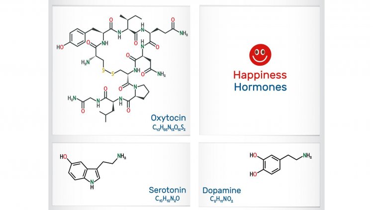 The Hidden Symphony of Oxytocin: Unveiling the Magic of Social Bonding and Health